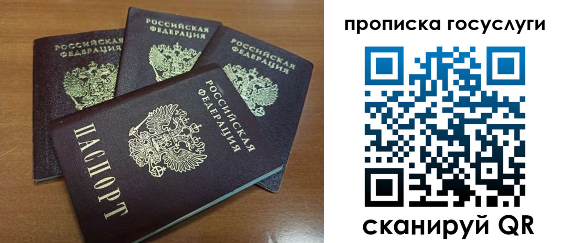 прописка 2025 в Солнечногорске