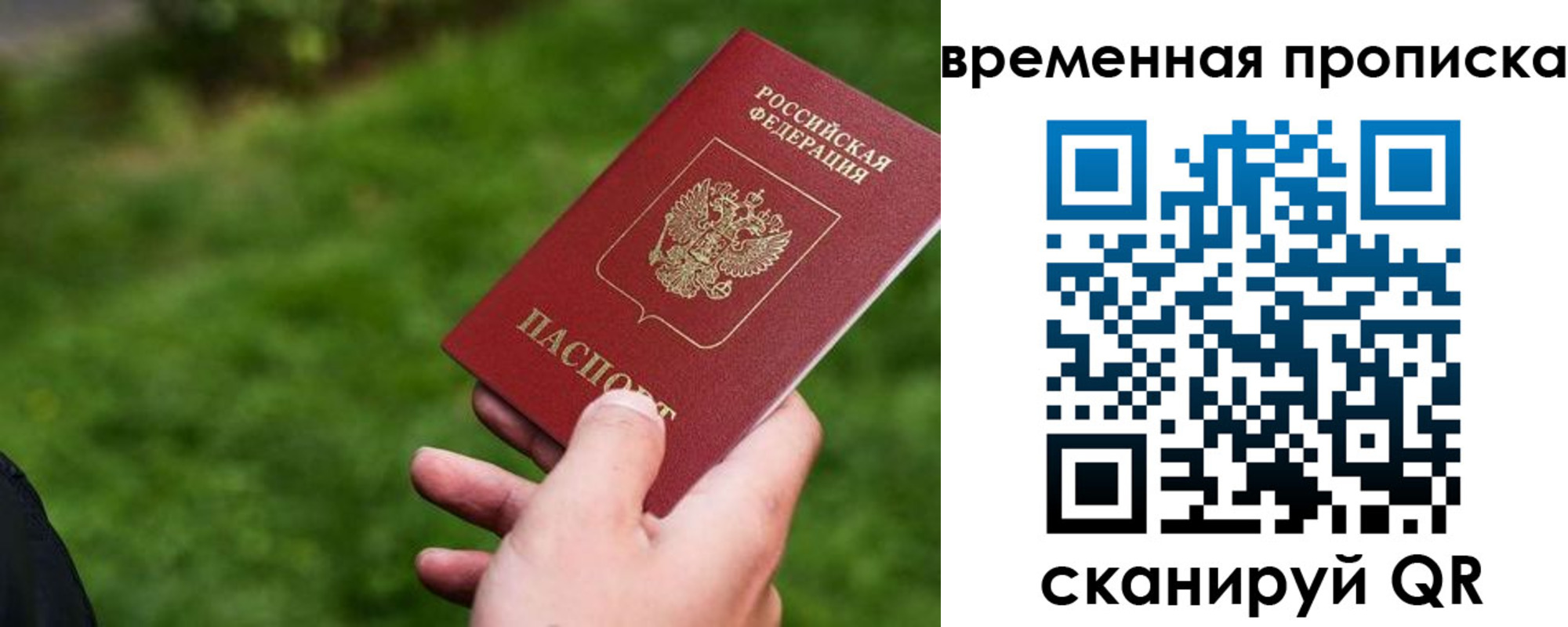 прописка 2025 в Солнечногорске